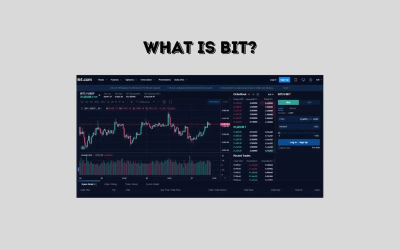 Bit Review