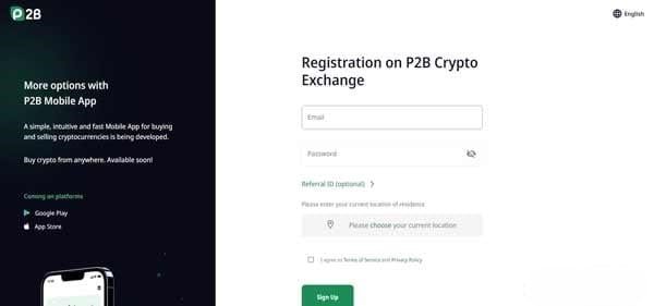 P2PB2B Review
