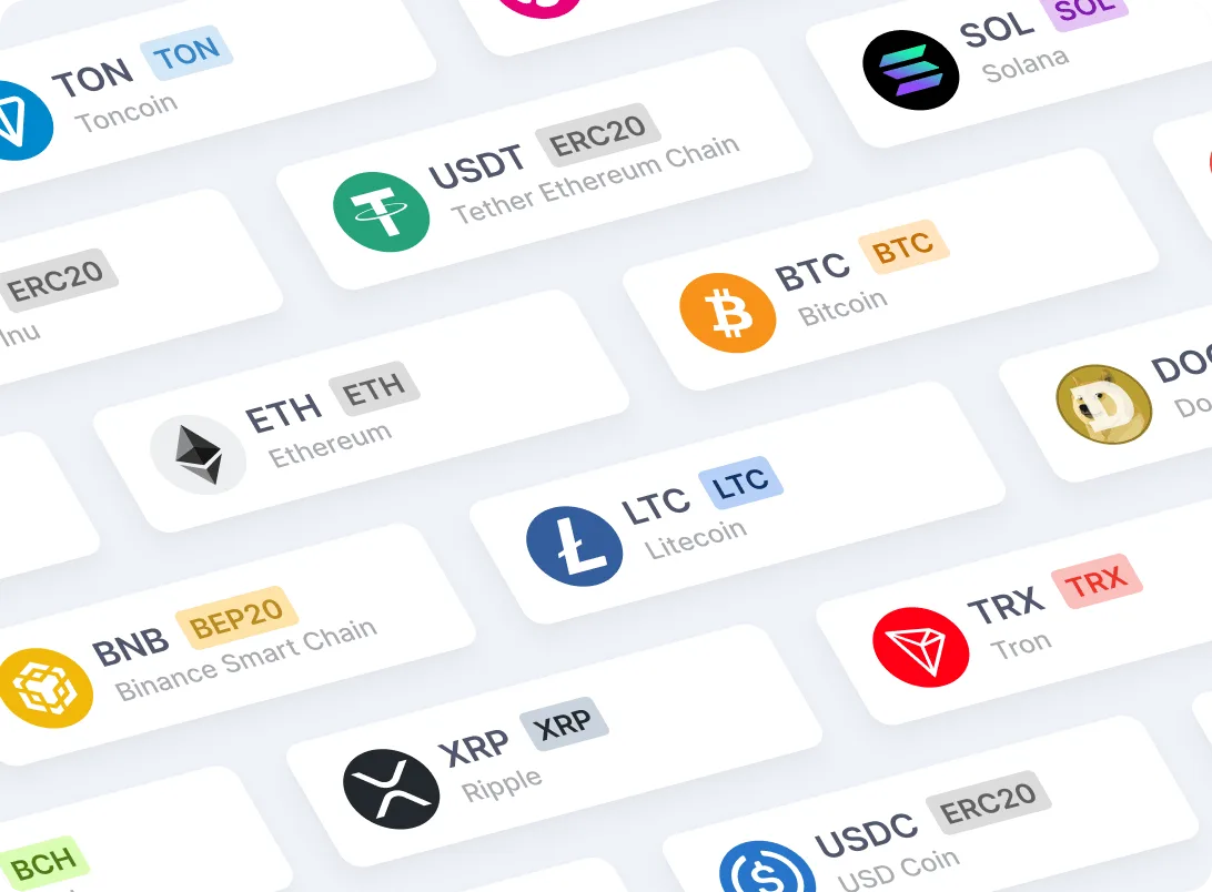 coins-on-switchere