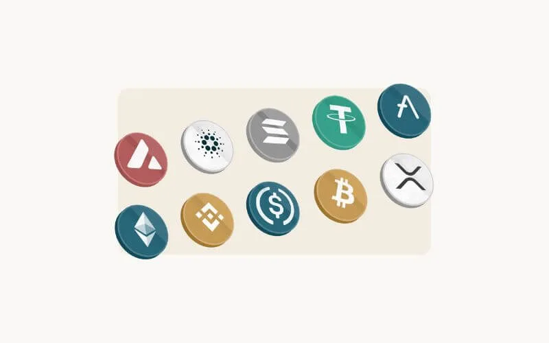 Margex Review: Margex Earn for 2025